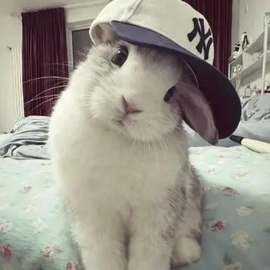 Profile image of 오시온