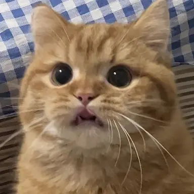 Profile image of 토쿠노 유우시