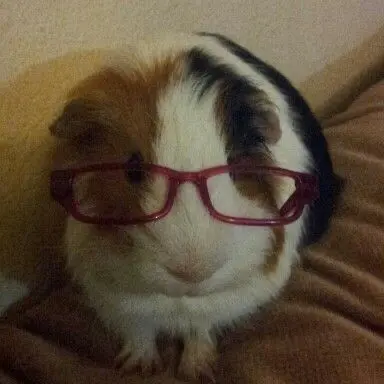 Profile image of 후지나가 사쿠야