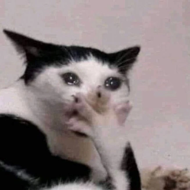 회사 짤린 쿠키