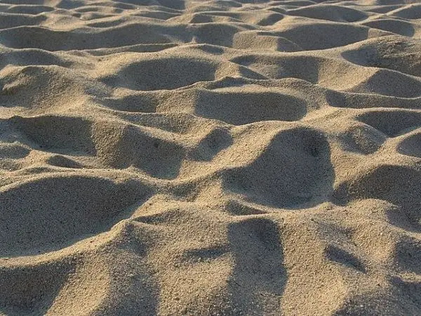 Profile image of 하켄