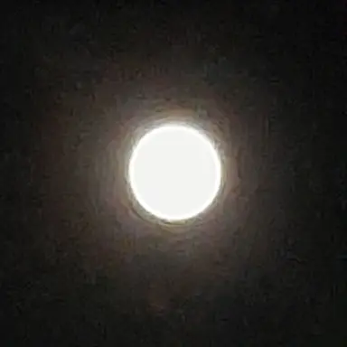 Profile image of 김애리