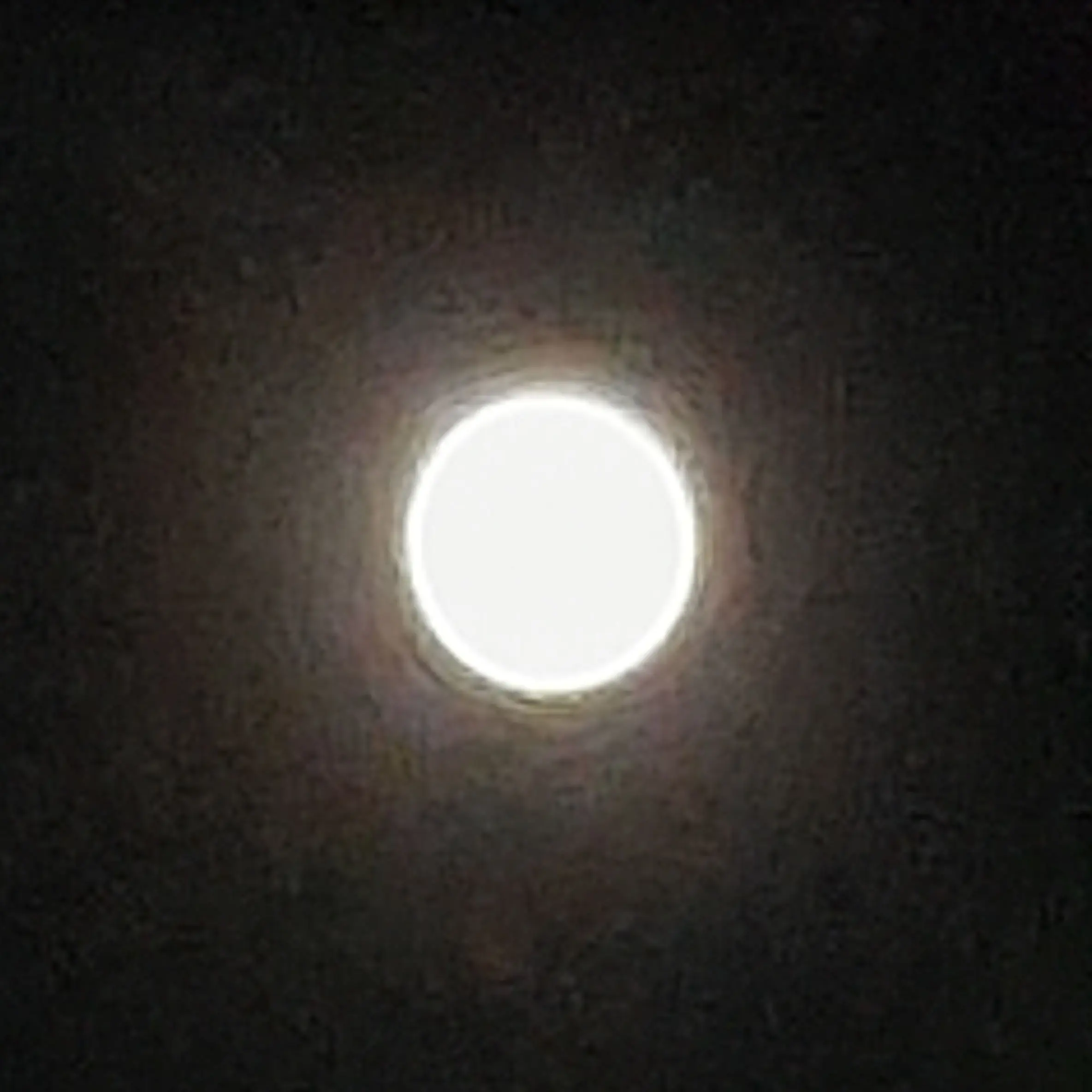 MYanddayone의 금수저가 흙수저에게 집착하는 이유