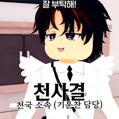 Profile image of 천사결