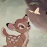 Profile image of Tonya