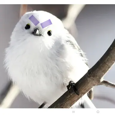Profile image of 오목뉘