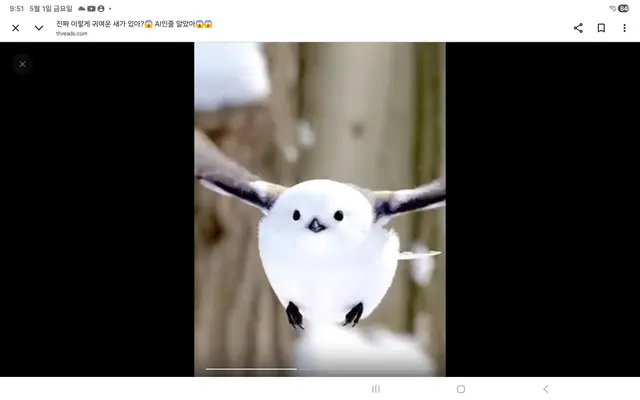 Profile image of 오목뉘