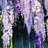栗花落カナヲ