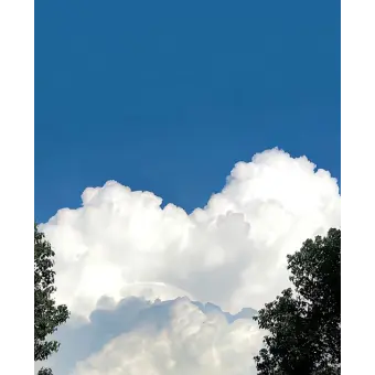 Profile image of 오준현