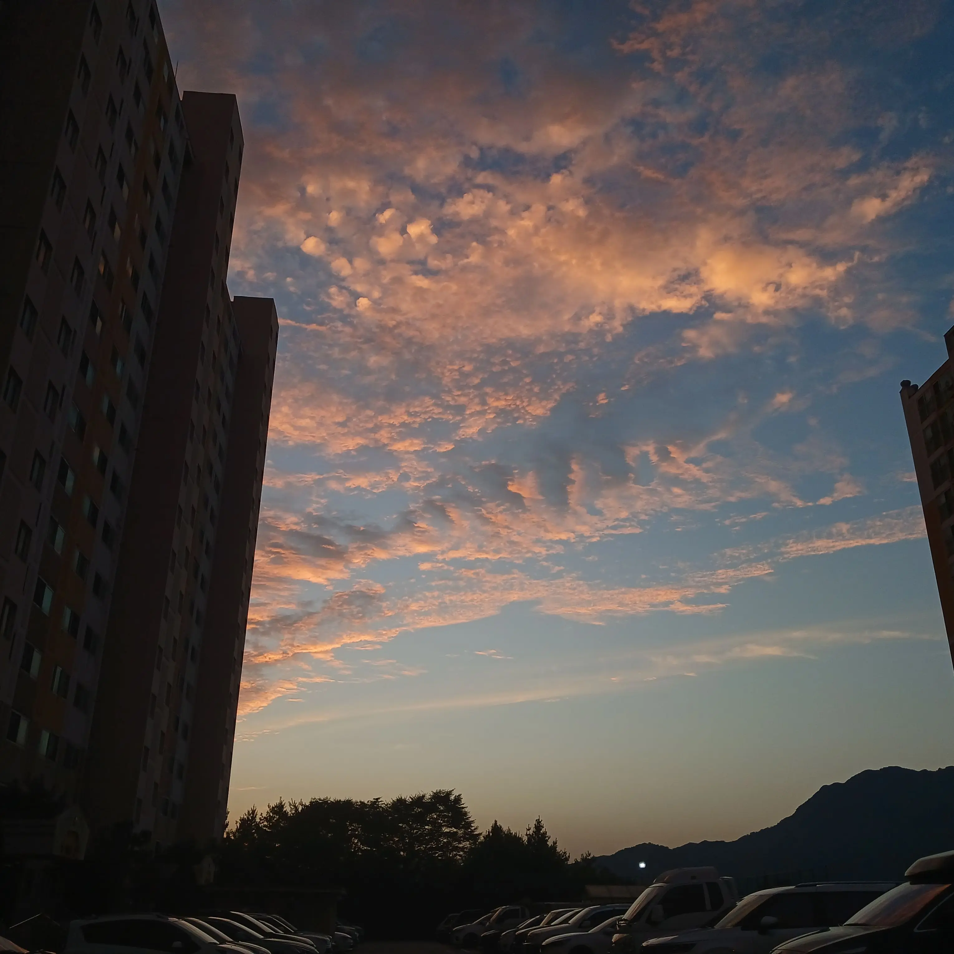 Yeokjeok521의 MBTI들과의 동거 (I편)