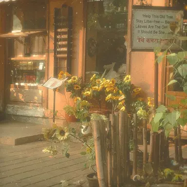Profile image of 코마