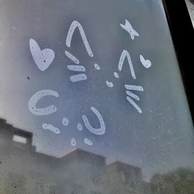 Profile image of 파이브