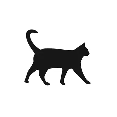 Profile image of Jiheon