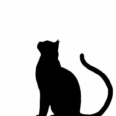 Profile image of Yuheon