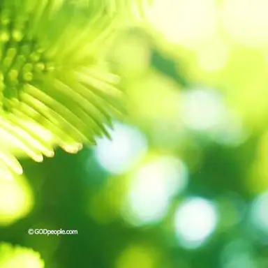 Profile image of 정형준