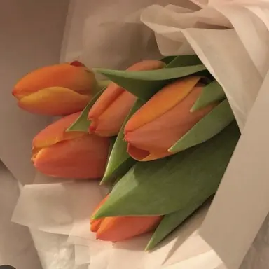 Profile image of 덕개