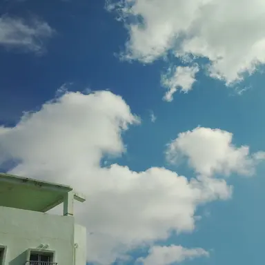 Profile image of 福田   彩奈