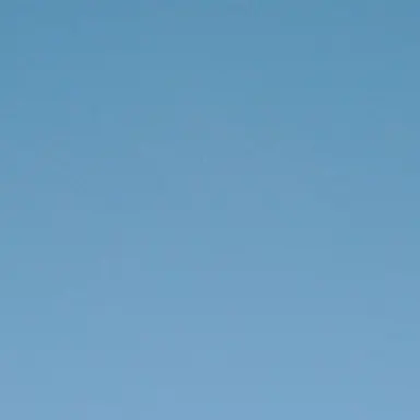 Profile image of 芦崎  真里