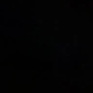 Profile image of -