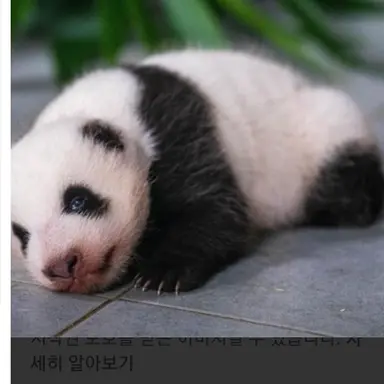 Profile image of 김태임