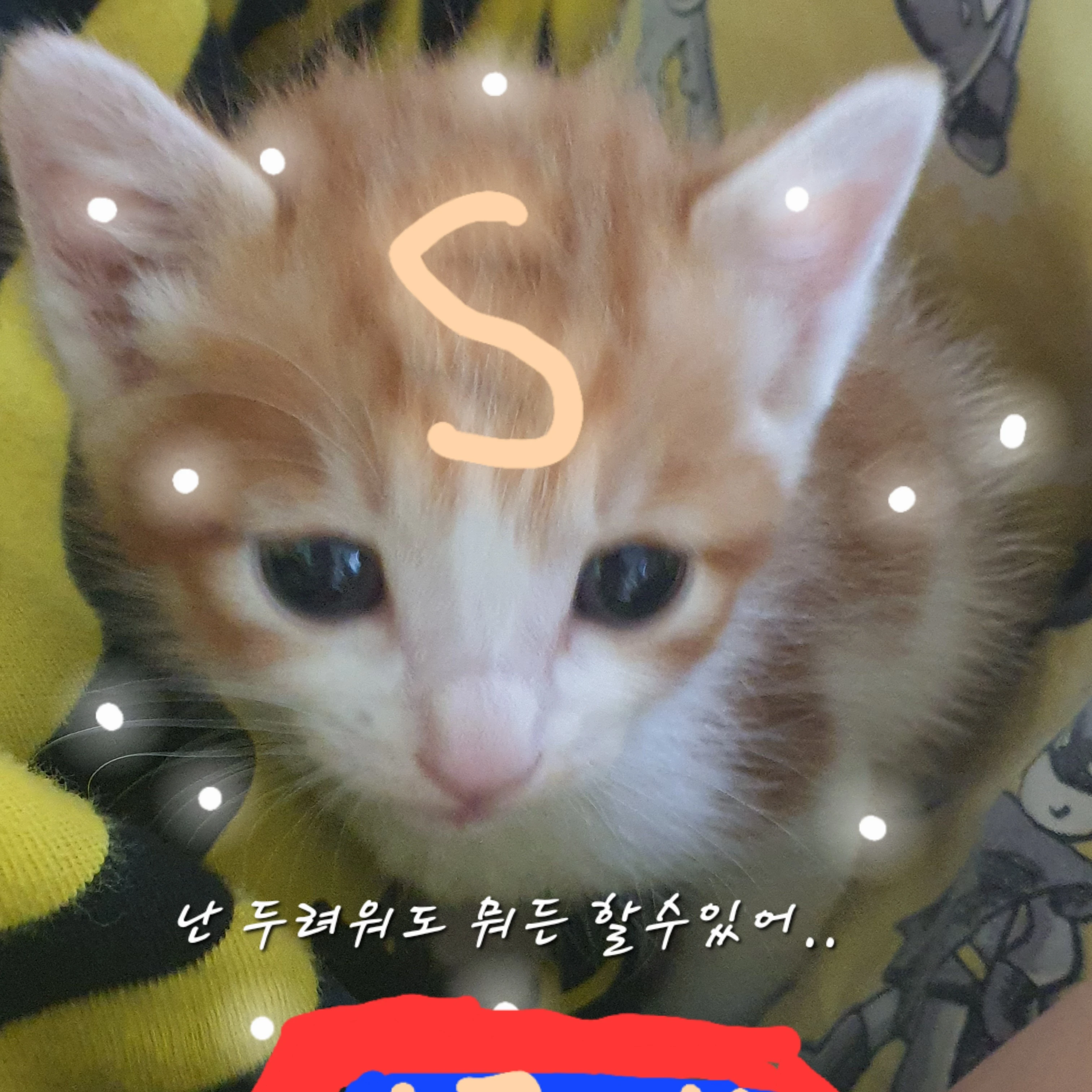 가을이