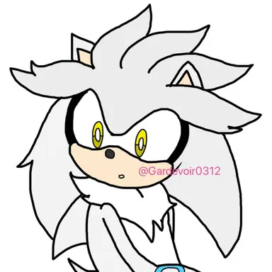 Profile image of シルバー