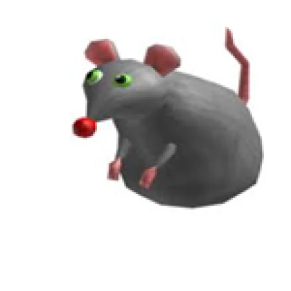 쥐