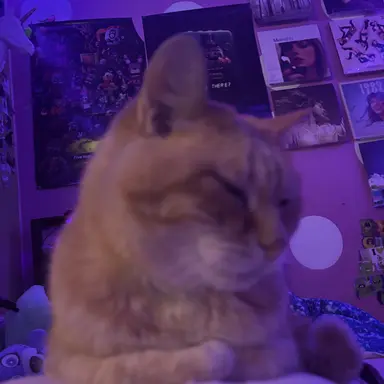 Profile image of Kenji