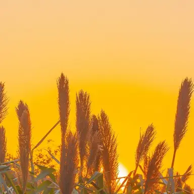 Profile image of 덕개