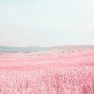 Profile image of 수아