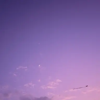 Profile image of 수현