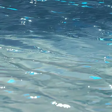 Profile image of 잠뜰