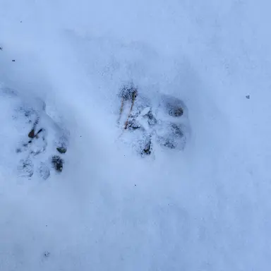 Profile image of 유기사