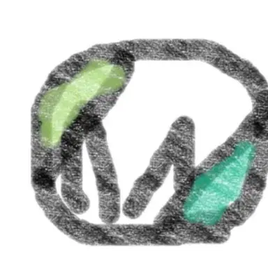 Profile image of Choi