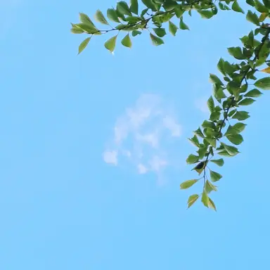 Profile image of f13