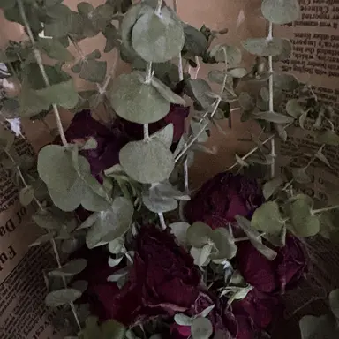 Profile image of 이호성