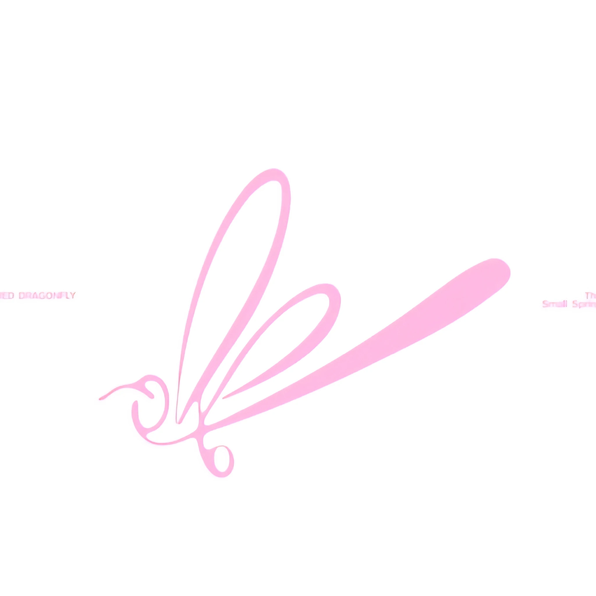 고추잠자리 단체