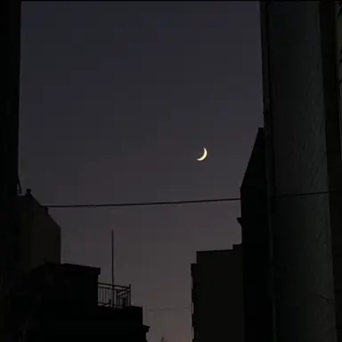 Profile image of 정형준