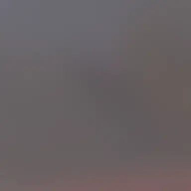 Profile image of 先輩
