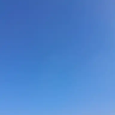 Profile image of 리온