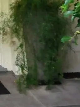 HerbalHoop5833의 愛されるために生まれてきた