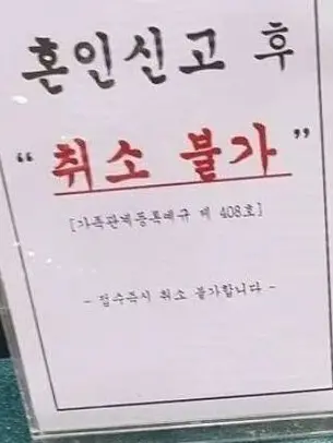 percolate의 백 건우