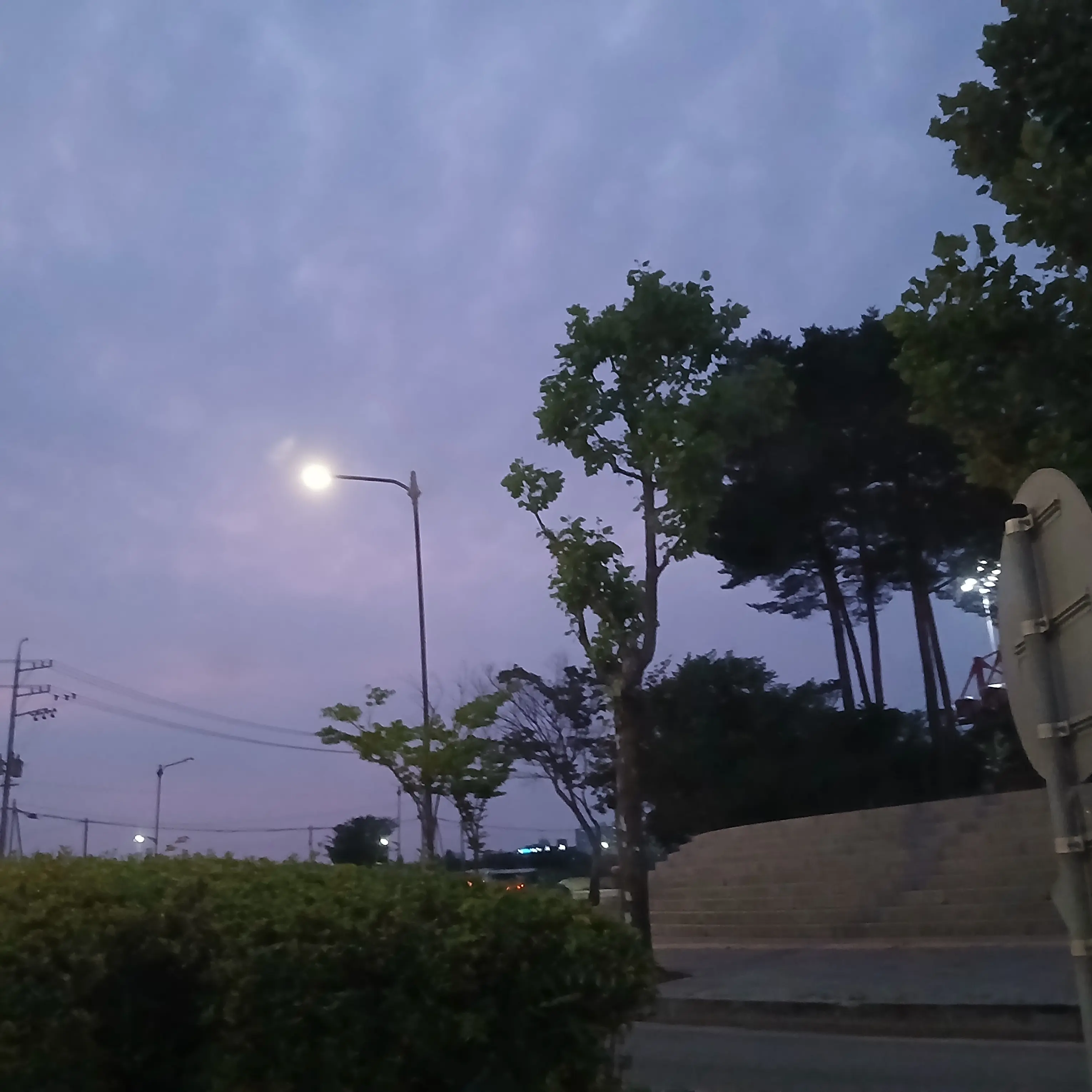 ALO_SVT의 남편 전