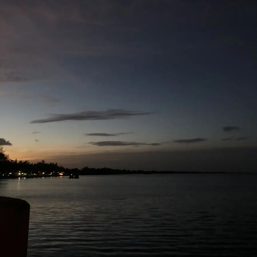 BiasedSnore8007의 박 정우