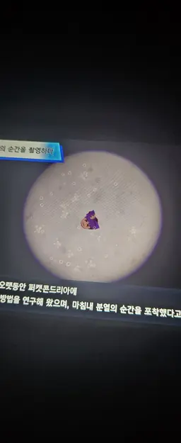 Profile image of 퍼캣