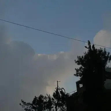 Profile image of K-pop Idol