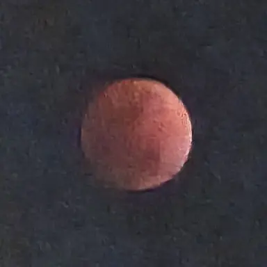 Profile image of 엘루틴 레 벨로냐