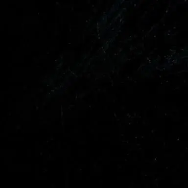 Profile image of 배진솔