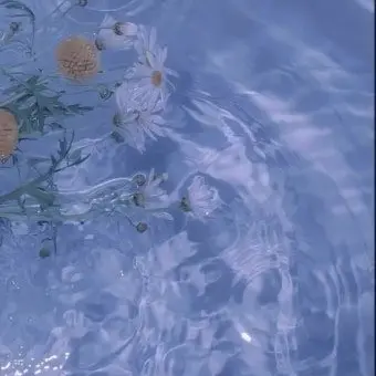 Profile image of 타코