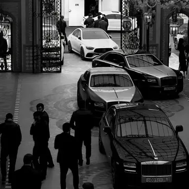 Profile image of Your Ten Older Brothers